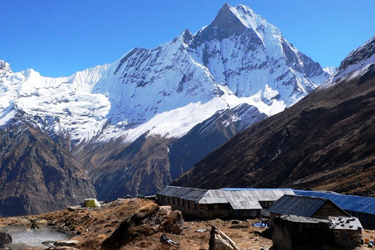 Annapurna  Trekking